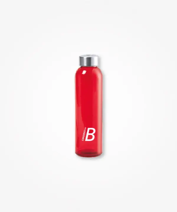 Borraccia in vetro 500ml