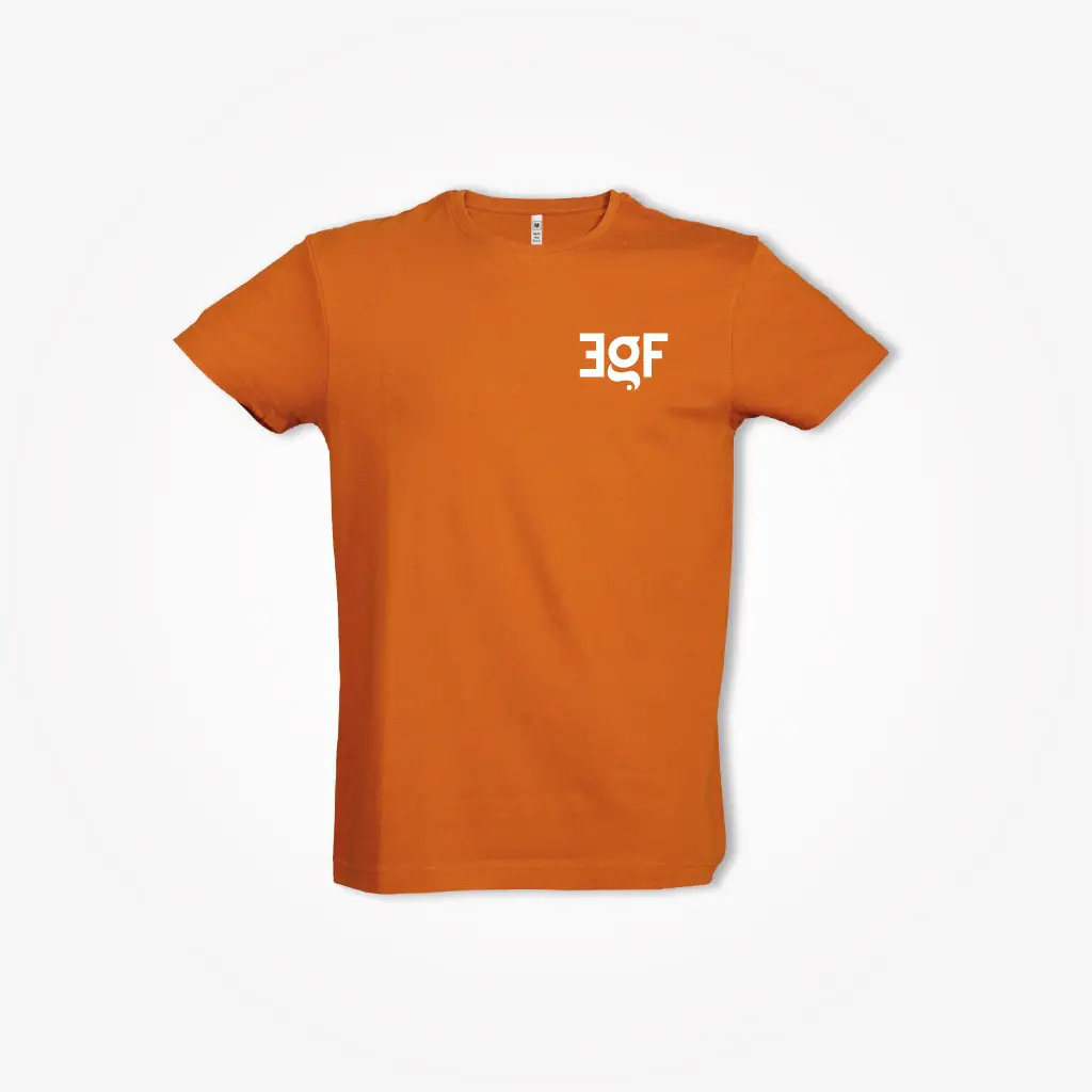 T-shirt basic tipo 3